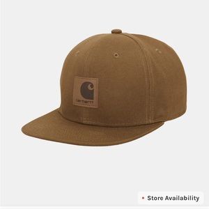 Carhartt Work In Progress Logo Cap in Hamilton Brown